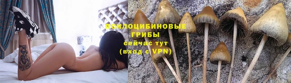 бошки Алзамай